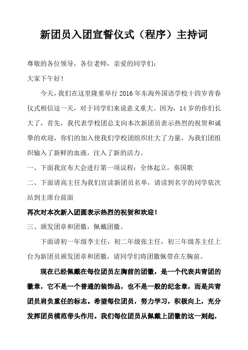 2015入团宣誓仪式