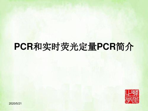 PCR和实时荧光定量PCR简介