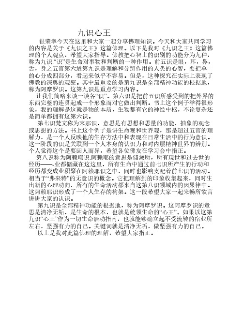 九识心王佛理