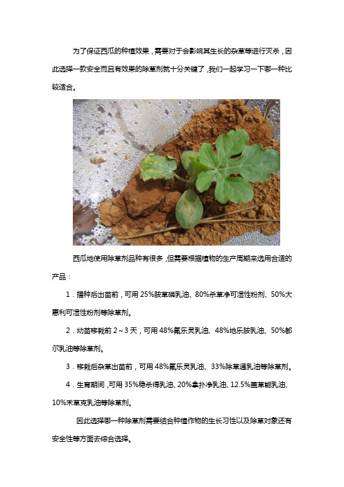西瓜地用什么除草剂好