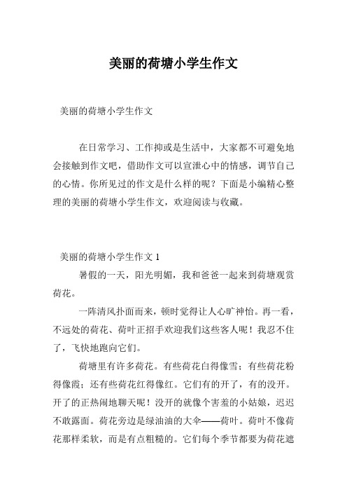 美丽的荷塘小学生作文