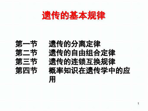 遗传的基本定律精品PPT课件
