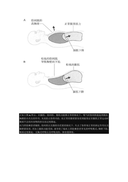 呼吸功能损伤定位