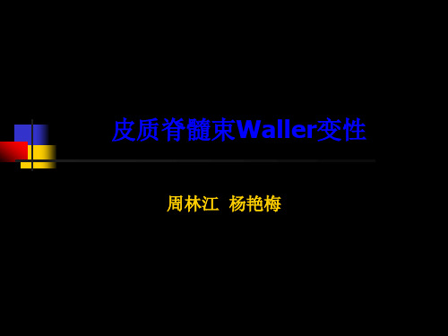 血管周围间隙的MRI表现