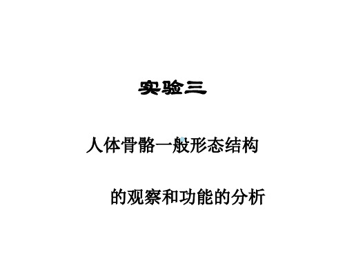 实验三人体骨骼以及青蛙骨骼标本制作