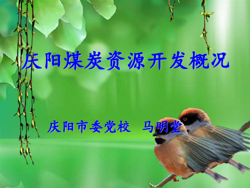 庆阳煤炭开发几点思考