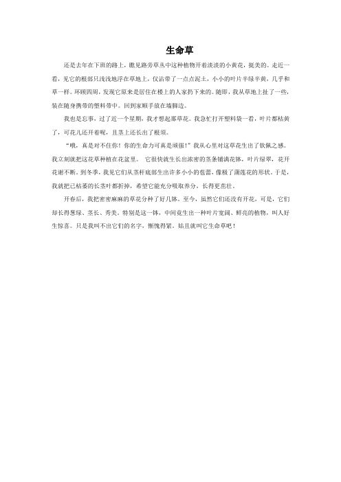 赵丽宏《生命草》