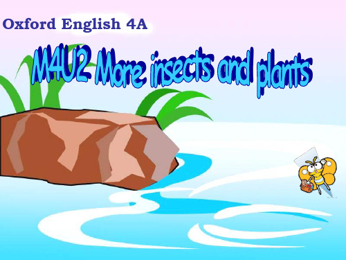 牛津沪教四上Module 4《Unit 2 More insects and plants》ppt课件