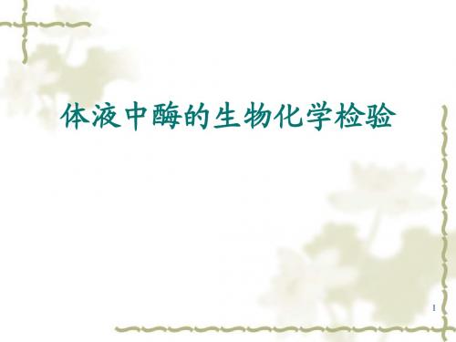 体液中酶的生物化学检验 ppt课件