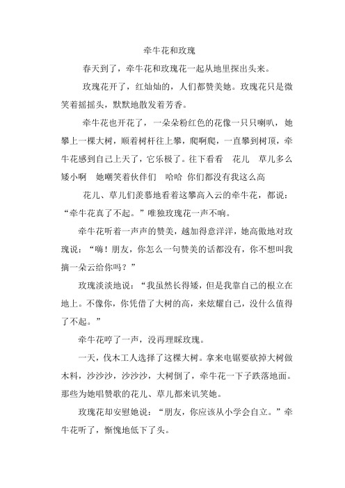 牵牛花和玫瑰