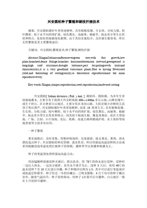 兴安圆柏种子繁殖和硬枝扦插技术