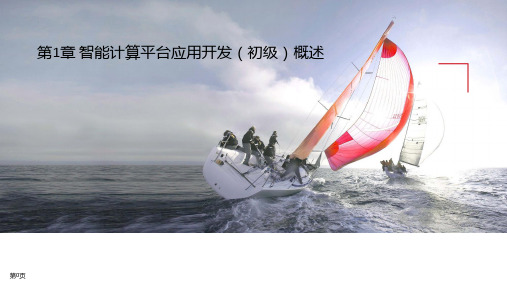 1+X证书【初级】第1章 智能计算平台应用开发(初级)概述(1.2 智能计算平台应用开发(初级)知识点概要)