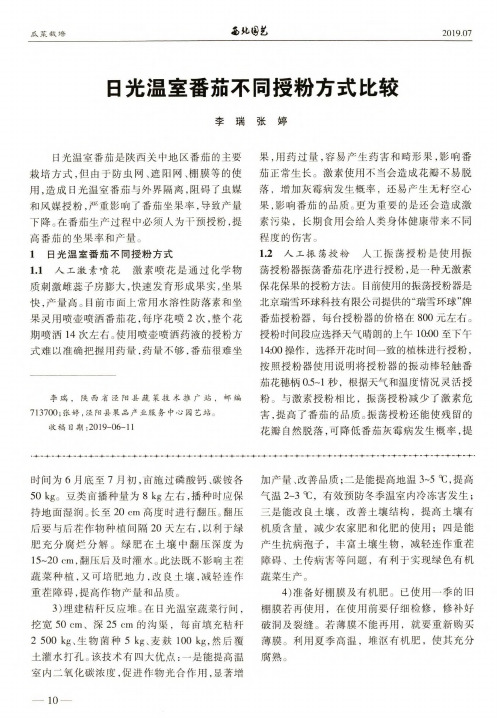 日光温室番茄不同授粉方式比较