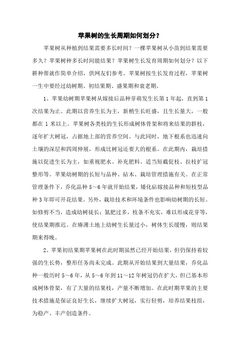 苹果树的生长周期如何划分？