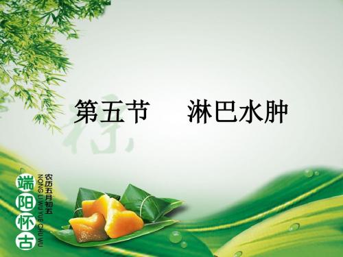中医外科淋巴水肿ppt课件