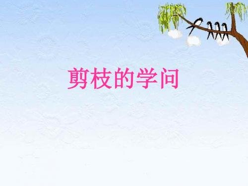 小学三年级下学期语文《剪枝的学问》PPT课件