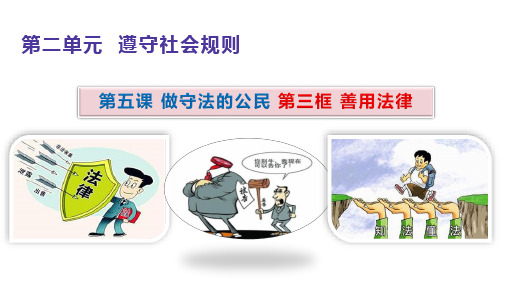 善用法律ppt课件