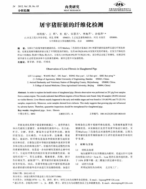 屠宰猪肝脏的纤维化检测