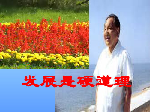 思想品德：2.4.1《发展是硬道理》课件(鲁教版九年级全册)