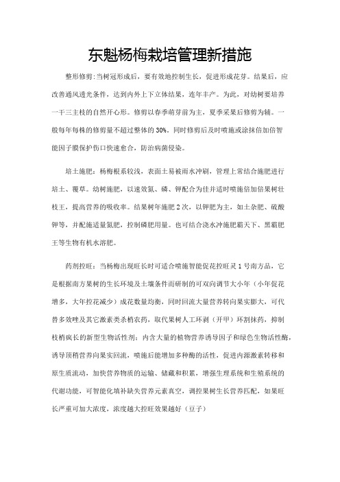 东魁杨梅栽培管理新措施