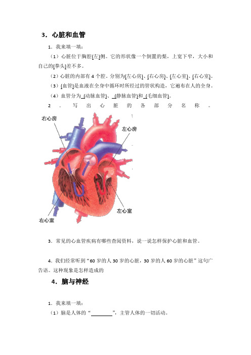 青岛版五年级下册科学复习资料