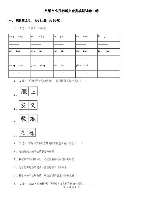 吕梁市小升初语文全真模拟试卷C卷