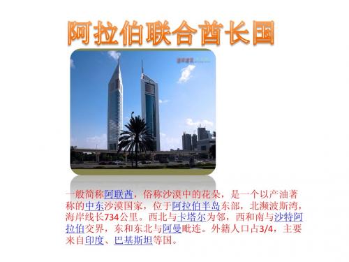 阿拉伯联合酋长国