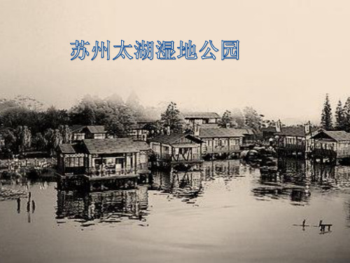 太湖湿地公园