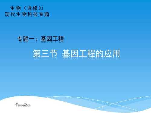 人教版选修3生物第三节：基因工程的应用pptPPT