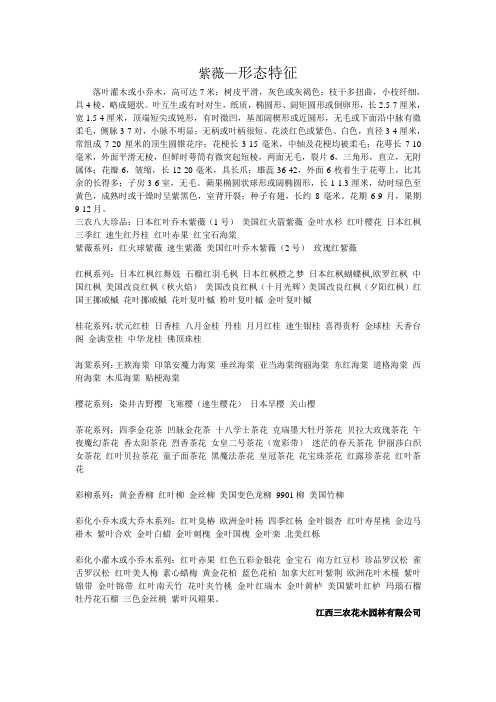 紫薇—形态特征
