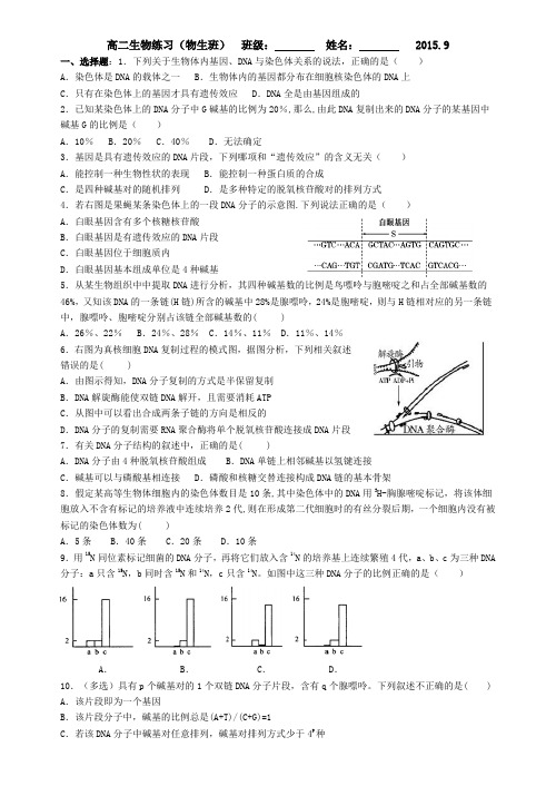 DNA的结构和复制练习(含答案)