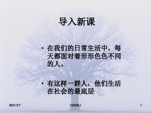 好雪片片PPT课件