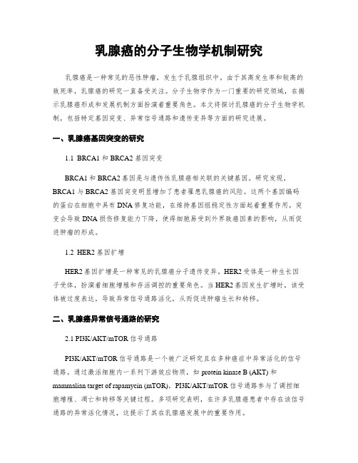 乳腺癌的分子生物学机制研究