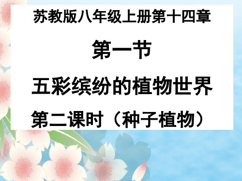 苏教版八上生物_14.1_五彩缤纷的植物世界_课件___%28共29张PPT%29