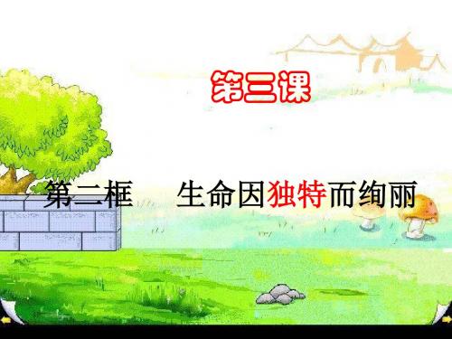 生命因独特而绚丽课件.ppt