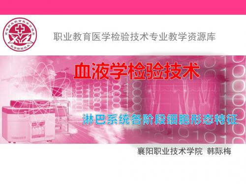淋巴系统各阶段细胞形态特征.