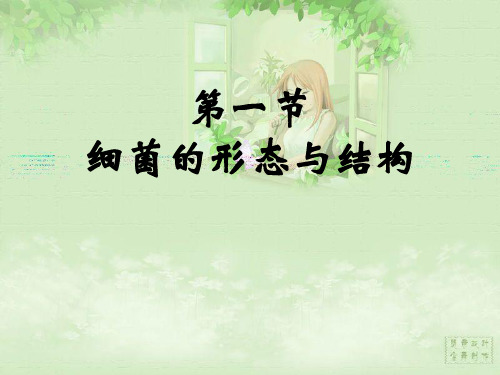 细菌的形态与结构 PPT