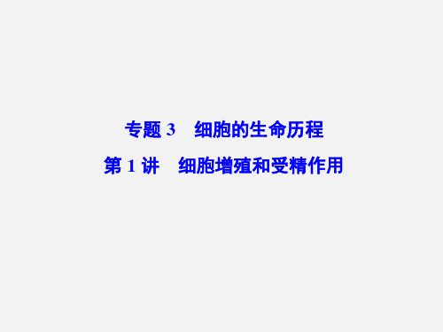高考生物 二轮复习 专题3 第1讲 细胞增殖和受精作用