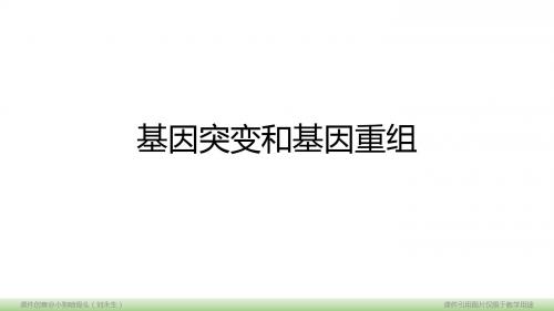 基因突变和基因重组(一轮复习)