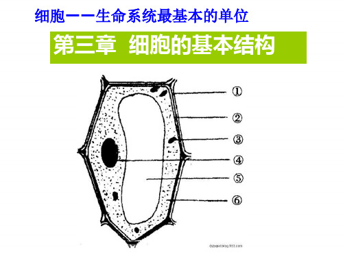 高一生物人教版必修一课件