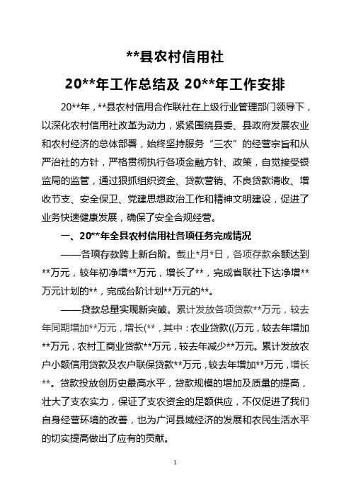 农村信用社20年工作总结及20、、年工作安排
