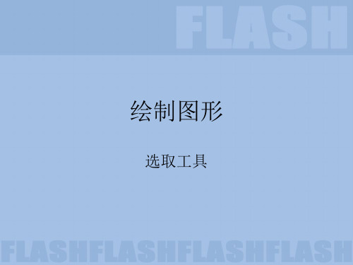 FLASH选取工具