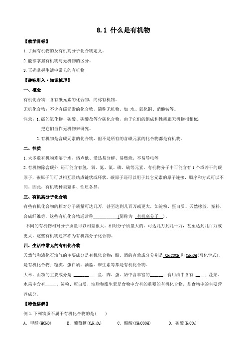 沪教上海版九年级化学下册 什么是有机化合物