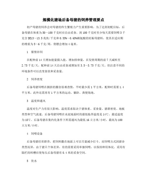 规模化猪场后备母猪的饲养管理要点