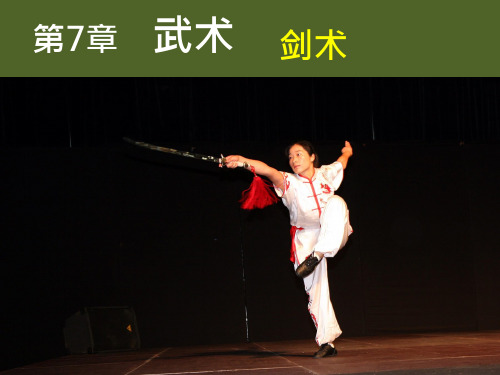 武术—剑术
