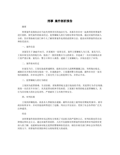 刑事 案件剖析报告