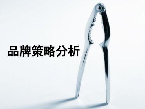 顾家家居品牌战略分析