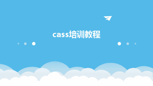 cass培训教程