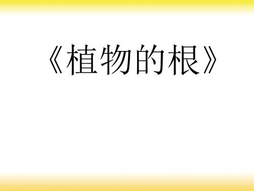 青岛版小学科学四年级上册《植物的根》课件