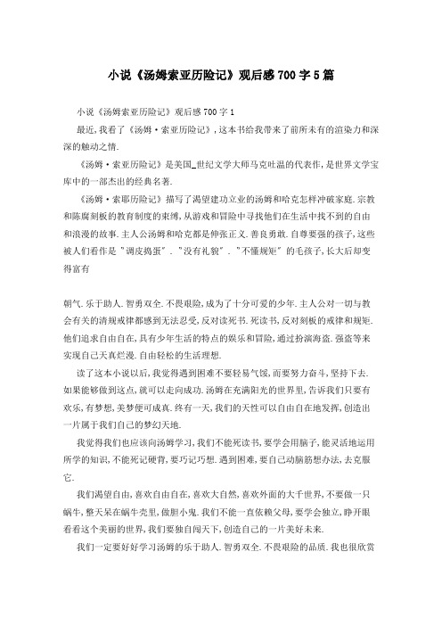 小说《汤姆索亚历险记》观后感700字5篇